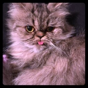 😳😲EVERYTHING HALF PRICE WHEN YOU BUY THREE OR MORE ITEMS!!!🎈🎈🎈🎈🎉🎉🎉🎉😳